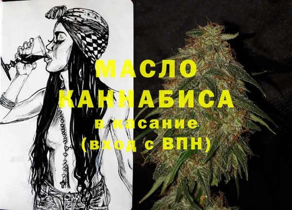 индика Дегтярск