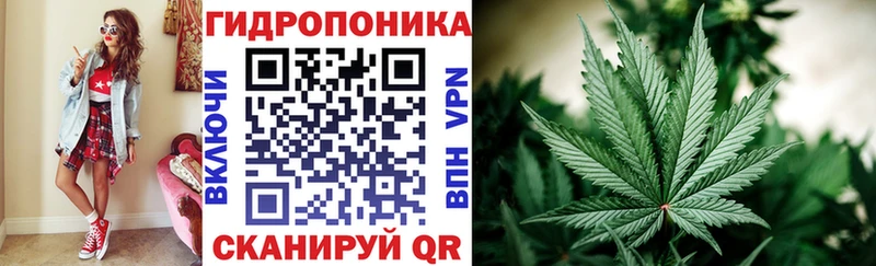 МЕГА tor  Полесск  Бошки Шишки OG Kush  купить  цена 